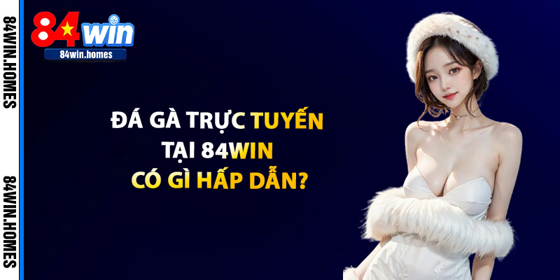 Đá Gà Trực Tuyến Tại 84WIN Có Gì Hấp Dẫn?